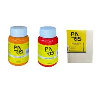 Kit Luar Flamejante 100ml 2 Tintas + Tela para pintura 15x20