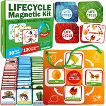 Kit magnético Lifecycle QUOKKA com 120 cartões flash para crianças de 2 a 4 anos Kit magnético Lifecycle QUOKKA com 120 cartões flash para crianças de 2 a 4 anos