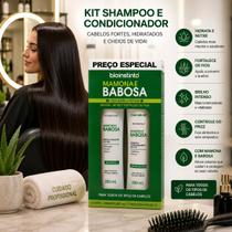 Kit Mamona E Babosa Bioinstinto Shampoo E Condicionador Kit Mamona E Babosa Bioinstinto Shampoo E Condicionador