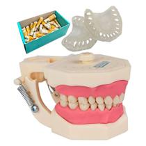 Kit Manequim Multidisciplinar Periodontia e Dentística Orais