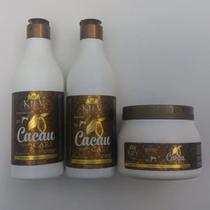 Kit Manutenção Kiev 3x500ml