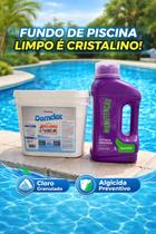 Kit Manutenção Piscina Completa DomClor e Algicida Preventivo Água Cristalina