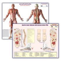 Kit Mapas de Anatomia Humana: Áreas Reflexas Dos Pés + Rotas de Acupuntura - Dobrados