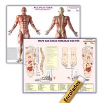 Kit Mapas de Anatomia Humana: Áreas Reflexas Dos Pés + Rotas de Acupuntura - Enrolados