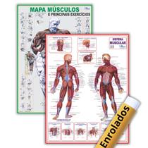 Kit Mapas De Anatomia Humana: Sistema Muscular + Músculos e Principais Exercícios - Enrolados