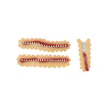 Kit Maquiagem Corporal para Halloween - Zíper Falso - 1 unidade - Cromus - Rizzo Kit Maquiagem Corporal para Halloween - Zíper Falso - 1 unidade - Cromus - Rizzo