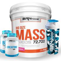 Kit Massa Hipercalórico - Big Size Mass 6kg + BCAA 100g + Creatina Foods 100g + Coqueteleira BRNFOODS Kit Massa Hipercalórico - Big Size Mass 6kg + BCAA 100g + Creatina Foods 100g + Coqueteleira BRNFOODS