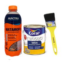 Kit Mata Mofo Mactra + Tinta Anti Mofo Coral + Pincel Médio