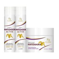 Kit Matizador Active Shampoo 300ml + Condicionador 300ml + Máscara 350ml Raizes Brasil