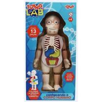 Kit medico corpo humano em plastico 6pc gliv