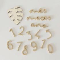 Kit Mesversário - Costela de Adão Dourado - Lembrança Maternidade - Cenário para Fotos Kit Mesversário - Costela de Adão Dourado - Lembrança Maternidade - Cenário para Fotos