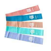 Kit Mini Extensor Elástico Academia Fisioterapia Pilates Kit com 5 Unidades Mini Bands Panther Blazz Latex free TPE 5 tensões diferentes