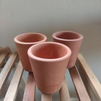 Kit Mini Vasos de Barro (3 unidades) Suculentas, Cactos e Flores - Rosa de Pedra