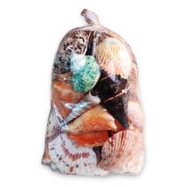 Kit Mix de Conchas Espirituais Conexão Divina Kit Mix de Conchas Espirituais Conexão Divina