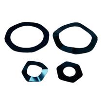 Kit Mola E Válvula Wayne W10SD TA10 W15SD TA15 Para Cada Pistão