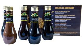 KIT Molhos de Jabuticaba KIT Molhos de Jabuticaba