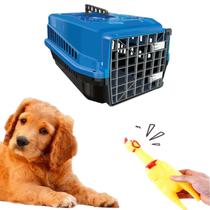 Kit Mordedor Galinha Interativo + Caixa Transporte N4 Azul
