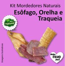 Kit Mordedor Petisco Natural para Cães Esôfago Orelha Traqueia Bovin NutriCão Pet Food Osso Cachorro Kit Mordedor Petisco Natural para Cães Esôfago Orelha Traqueia Bovin NutriCão Pet Food Osso Cachorro