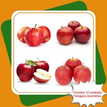 Kit Mudas 3 Maça Gala 3 Maça Fuji 3 Maça Julieta 3 Maça Eva Enxertadas