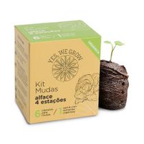 Kit Mudas Yes, We Grow Alface