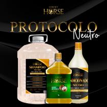 Kit Neutro - Protocolo de recuperação para cavalos com todo tipo de pelagem Versão 5L Kit Neutro - Protocolo de recuperação para cavalos com todo tipo de pelagem Versão 5L