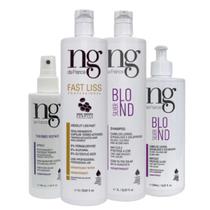 Kit NG de France Fast Liss + Silver Sh e Cond + Spray Thermo Kit NG de France Fast Liss + Silver Sh e Cond + Spray Thermo