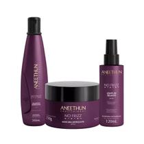 Kit No Frizz System Aneethun Blindagem 3 Passos Kit No Frizz System Aneethun Blindagem 3 Passos
