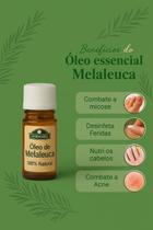 Kit Óleo de Melaleuca Ampolas Tratamento Semanal combate Micoses e Acne. Cresce Cabelos Tea Tree