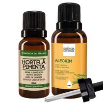 Kit Óleo Essen. Menta Piperita 20ml + Vegetal Alecrim 30ml