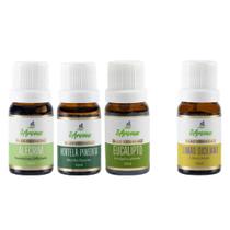 Kit Óleo Essencial 100% Puro Alecrim Hortelã Eucalipto Limão