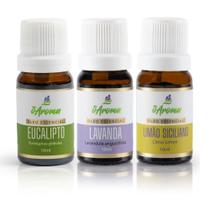 Kit Óleo Essencial 100% Puro Para Yoga Meditar Lavanda Eucalipto Limão - oAroma