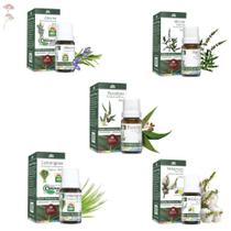 Kit Óleo Essencial de Alecrim, Melaleuca (Tea Tree), Menta Piperita, Eucalipto e Lemongrass 5ml - Puros 100% Naturais