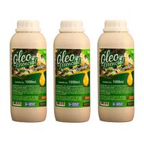 Kit Óleo Essencial Eucalipto Citriodora Ambiente Sauna 3L Borlen Brasil Kit Óleo Essencial Eucalipto Citriodora Ambiente Sauna 3L Borlen Brasil