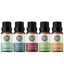 Kit Óleo Essêncial Inspiração Para Aromaterapia 5 Aromas Incríveis 100% Puros - Menta, Alecrim, Gerânio, Lemongrass e Bergamota - Aroma Dalma