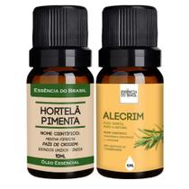 Kit Óleo Essencial Menta Piperita + Vegetal de Alecrim 10ml