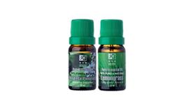 Kit Óleos Essenciais De Hortelã Pimenta E Lemongrass 10Ml