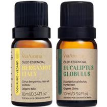 Kit Óleos Essenciais Para Aromaterapia Via Aroma Bergamota E Eucalipto Puros E Naturais Kit Óleos Essenciais Para Aromaterapia Via Aroma Bergamota E Eucalipto Puros E Naturais