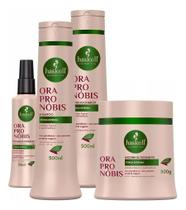 Kit Ora Pro Nobis 500gr Completo Haskell Tratamento Reconstrutor Kit Ora Pro Nobis 500gr Completo Haskell Tratamento Reconstrutor