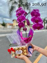 Kit orquídea e ferreiro rocher Kit orquídea e ferreiro rocher