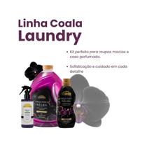 Kit Orquídea Negra Completo 1 Lava Roupas 3L ,1 Amaciante 1L e 1 Odorizante Tecidos 260ml