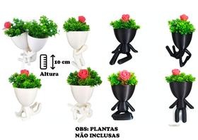 Kit P/ 9 Suculentas Bob Robert Plant