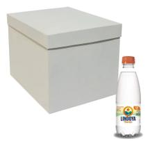 Kit Pacote Fechado Com 12 unidade Água Mineral Lindoya Com Gás 300ml