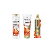 Kit Pantene Biotinamina Shampoo 300Ml+Cond 250Ml+Cr Pentear