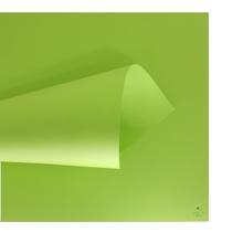 Kit Papel Cardstock Scrap Primavera Verde Claro 5 Folhas