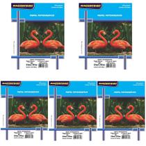 Kit Papel fotográfico glossy 100 fls 230 grs Masterprint