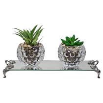 Kit Par Vasinhos De Vidro Com Suculenta Bandeja Vidro Luxo Kit Par Vasinhos De Vidro Com Suculenta Bandeja Vidro Luxo