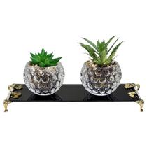 Kit Par Vasinhos De Vidro Com Suculenta Bandeja Vidro Luxo Kit Par Vasinhos De Vidro Com Suculenta Bandeja Vidro Luxo