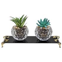 Kit Par Vasinhos De Vidro Com Suculenta Bandeja Vidro Luxo Kit Par Vasinhos De Vidro Com Suculenta Bandeja Vidro Luxo