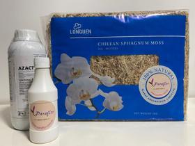 Kit para Orquídeas: MUSGO CHILENO E AZACT CE, natural Importado da Índia