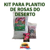 Kit Para Plantio Rosas do Deserto Mato Verde Jardinagem